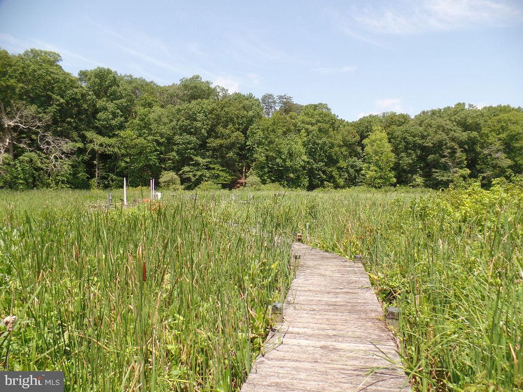 PATUXENT PALISADES - Residential