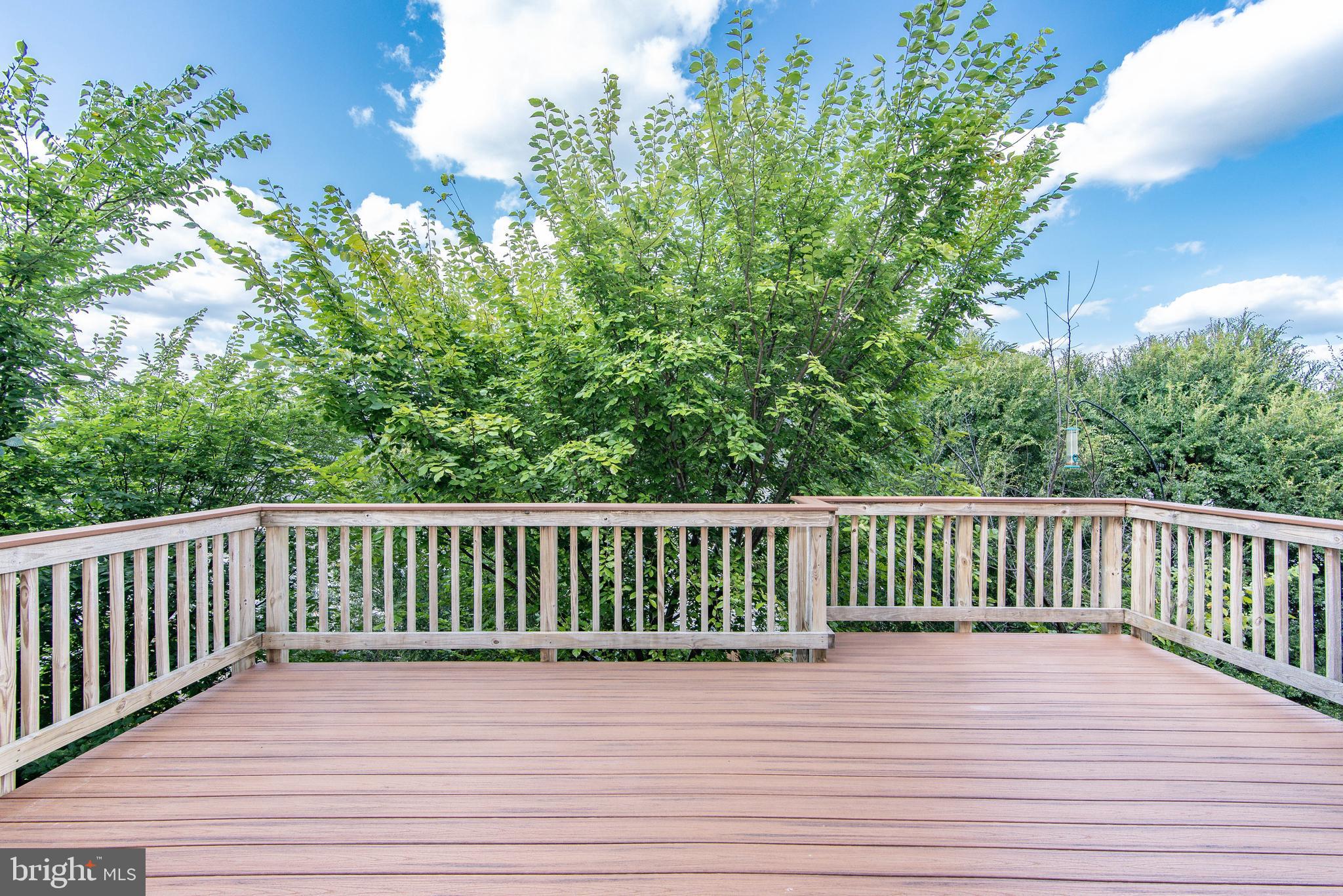 PURCELLVILLE - Residential Lease