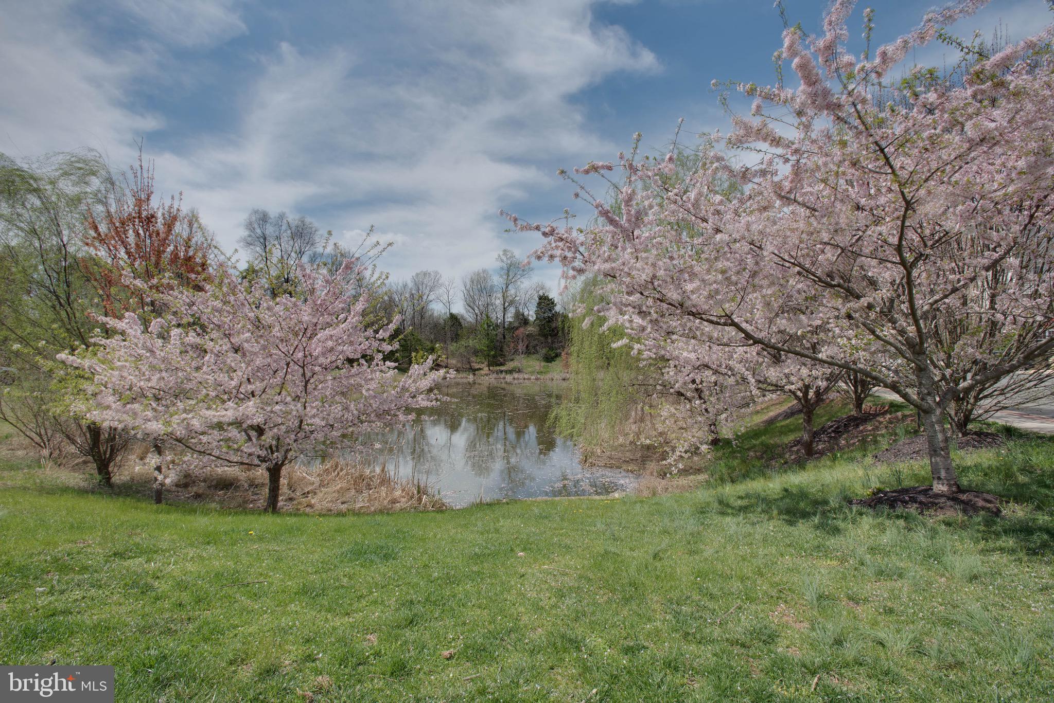THE TOWNES AT VILLAGE PLACE - Residential