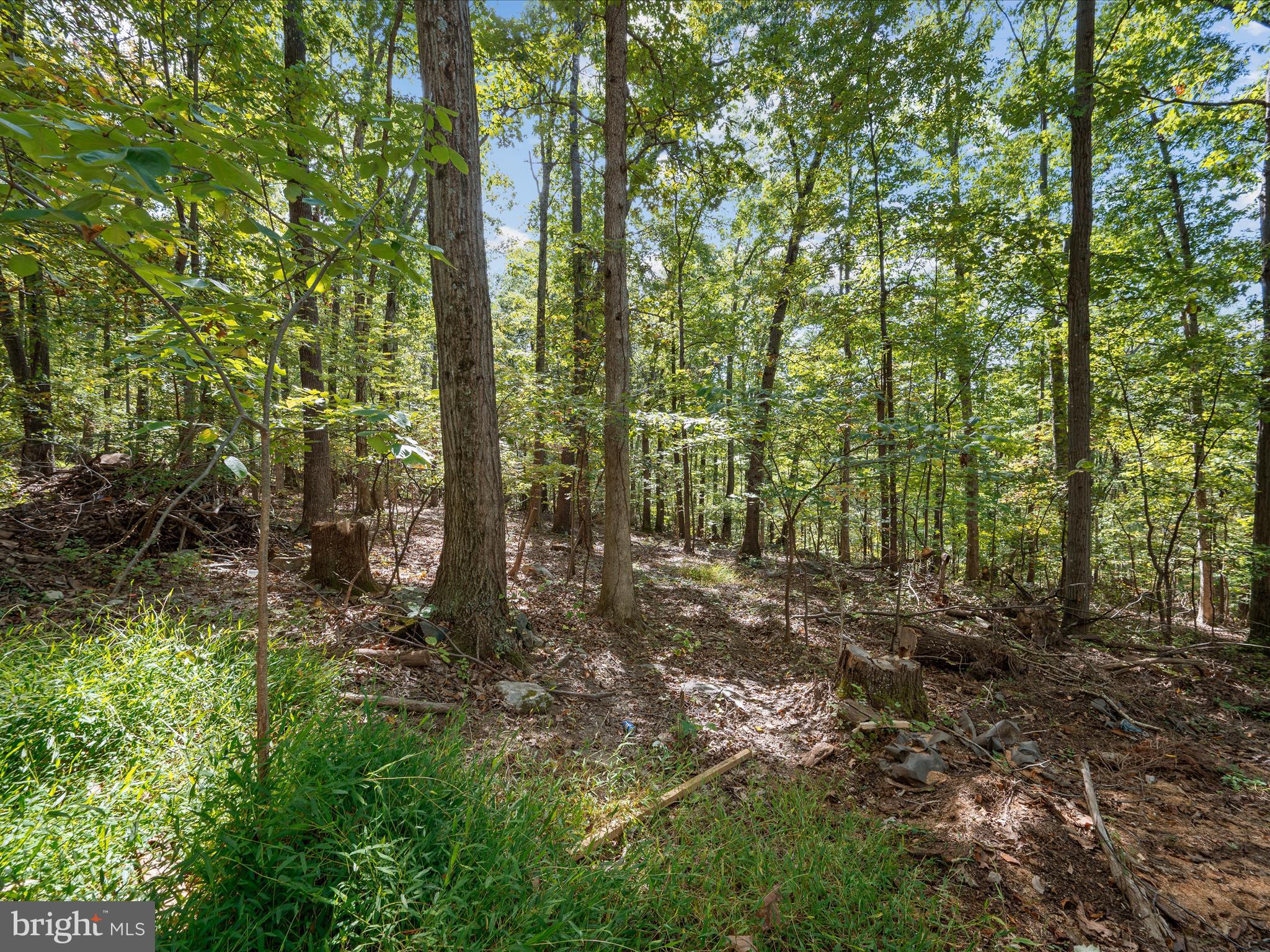 WEST RIDGE HILLS - Land