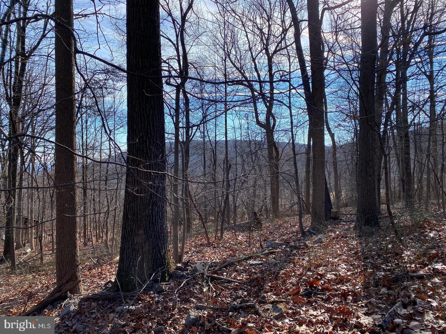 SLEEPY HOLLOW - Residential