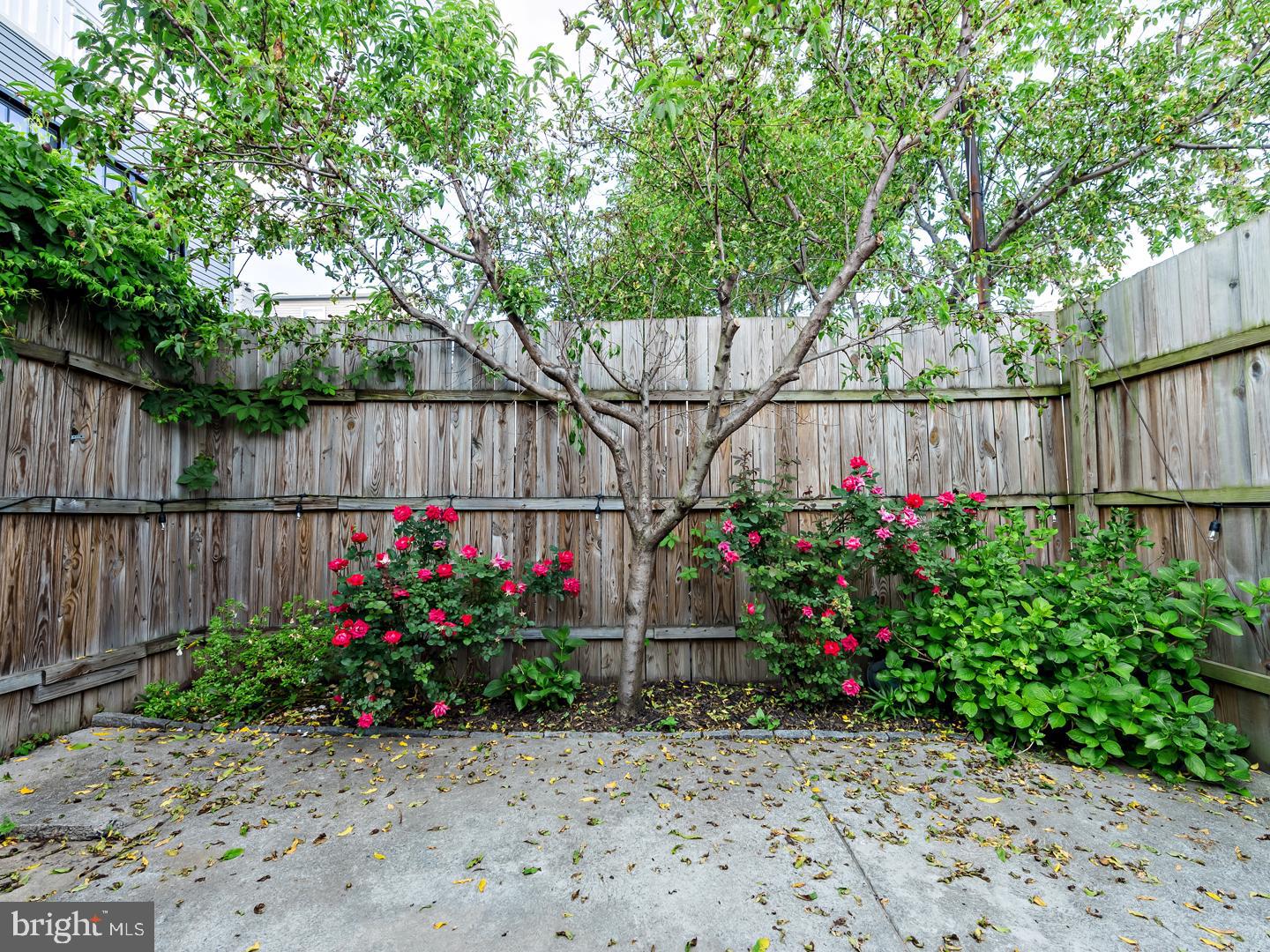 FISHTOWN - Residential Lease