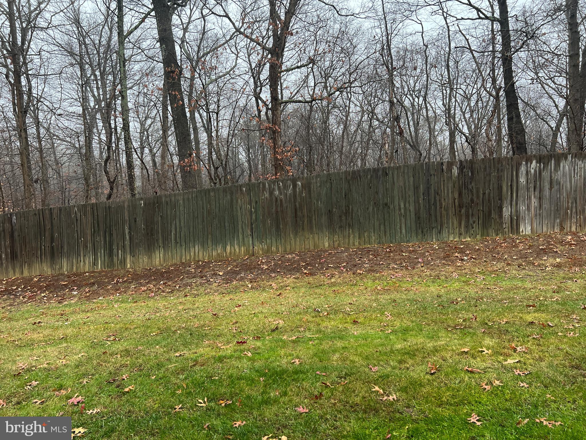 SILVER LAKE - Residential