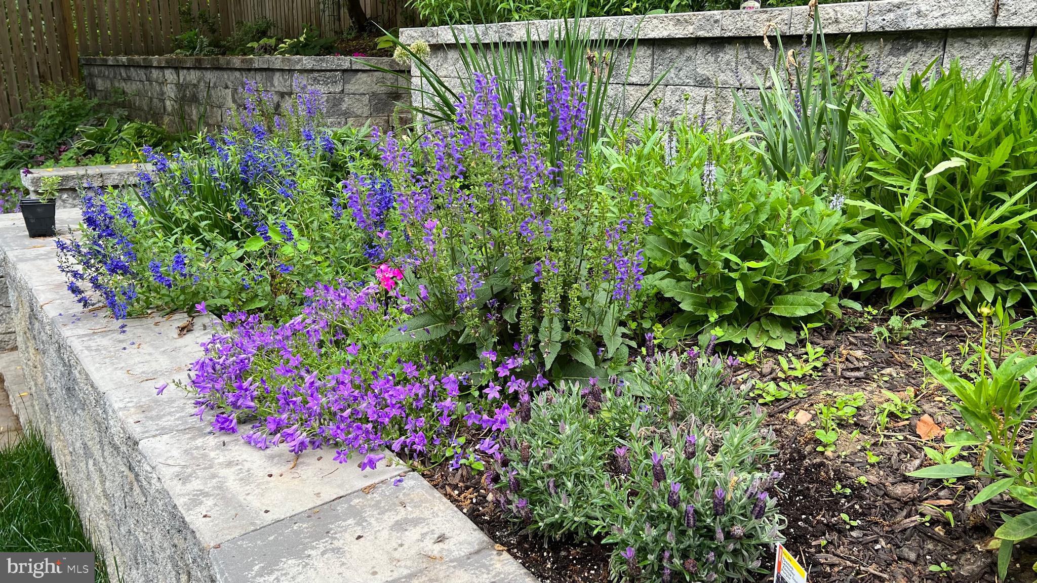 GLEN ECHO HEIGHTS - Residential