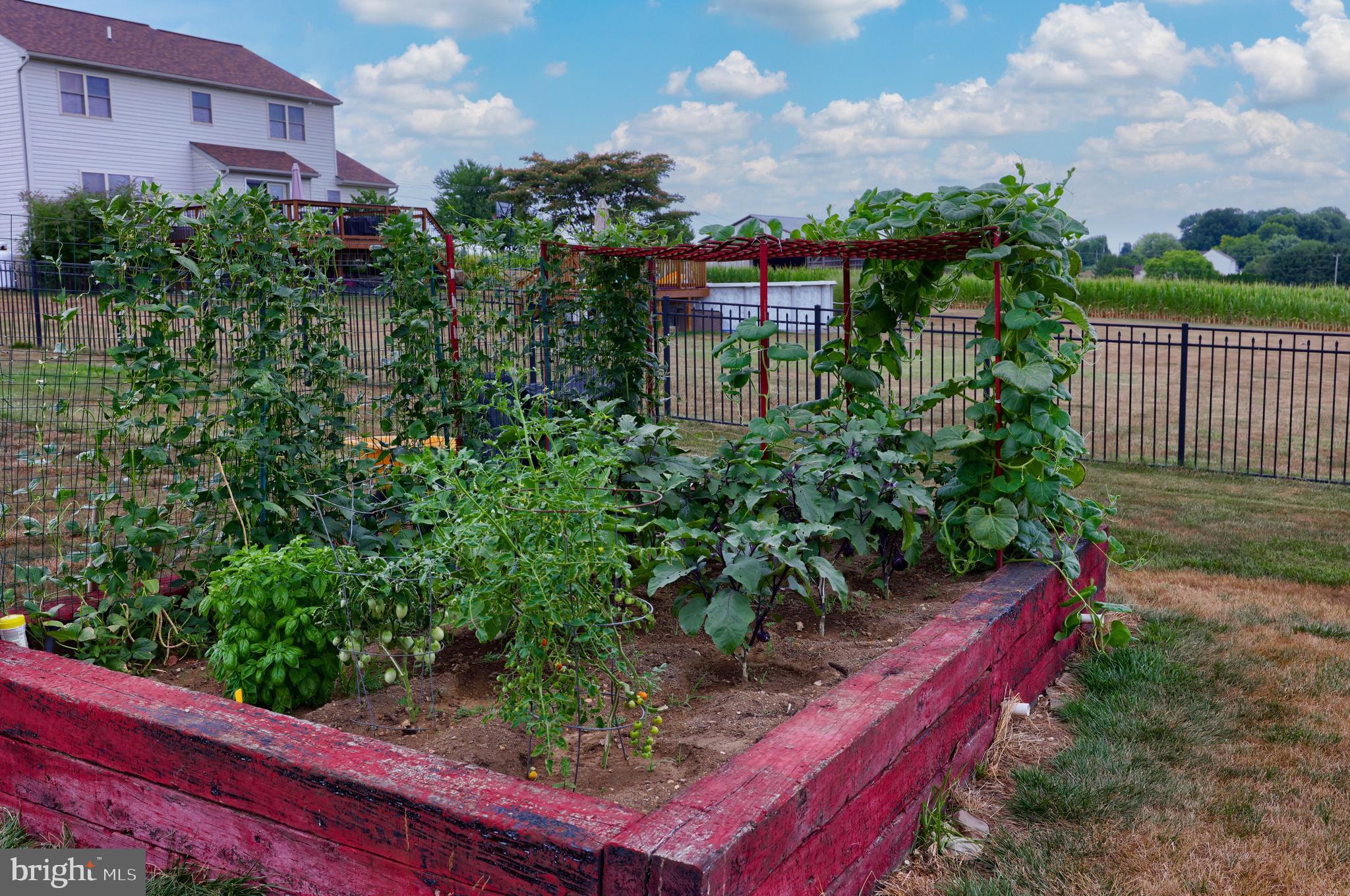 MAYTOWN - Residential