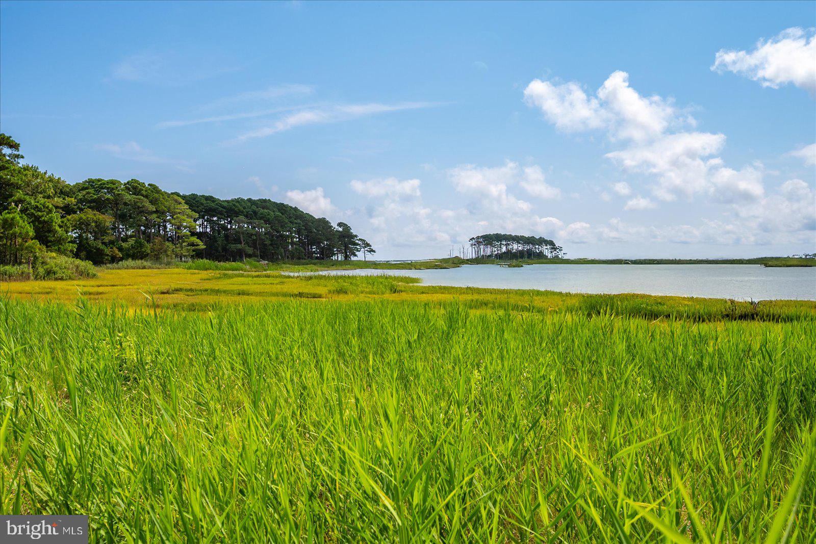 SYNEPUXENT LANDING - Residential