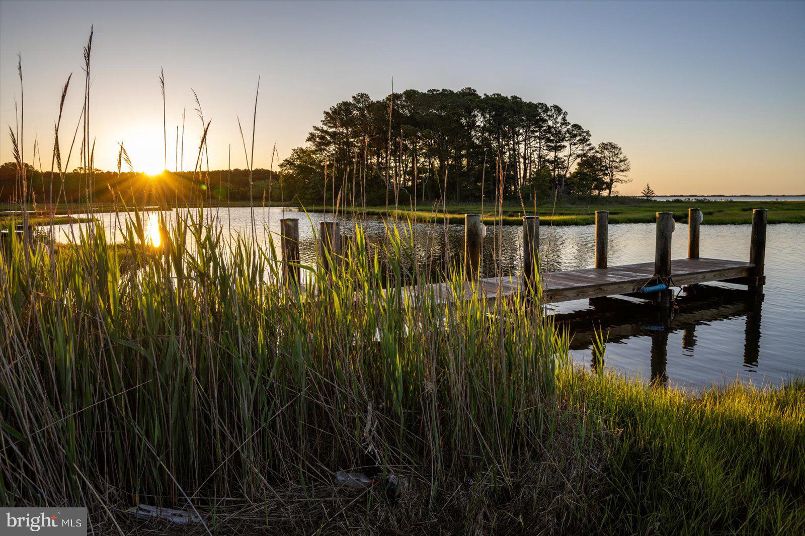 SYNEPUXENT LANDING - Residential