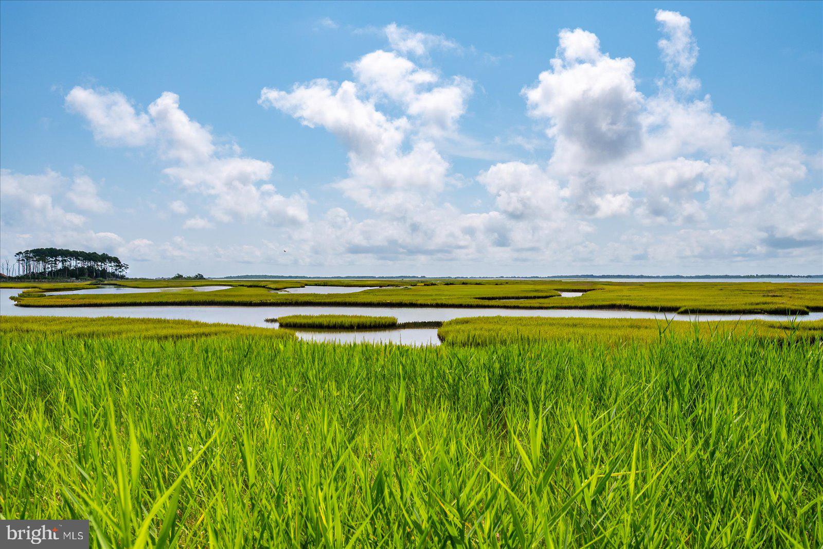 SYNEPUXENT LANDING - Residential