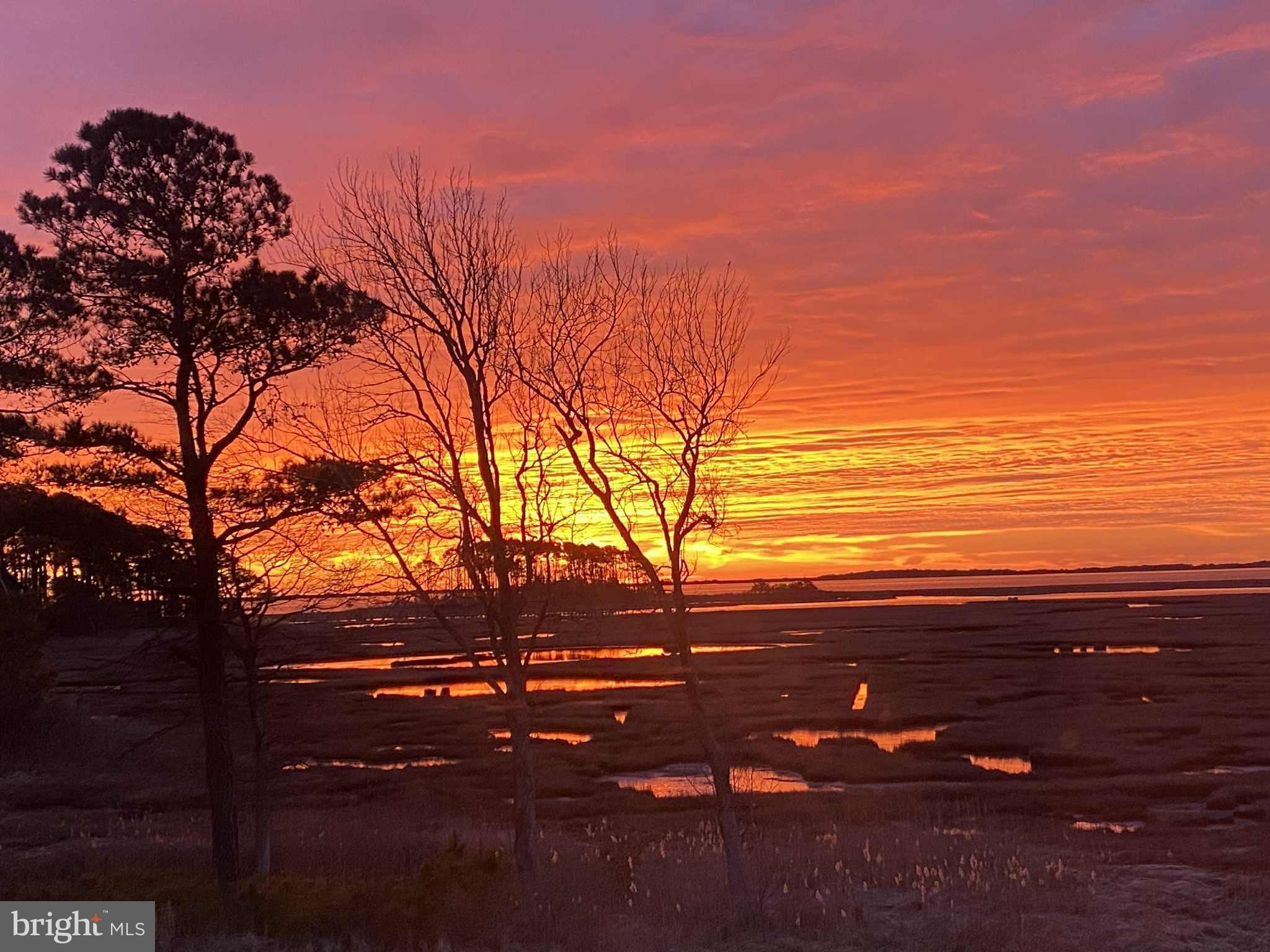 SYNEPUXENT LANDING - Residential