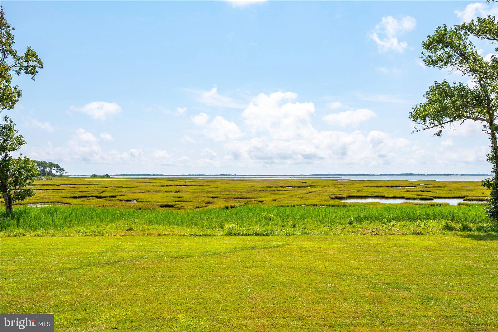 SYNEPUXENT LANDING - Residential