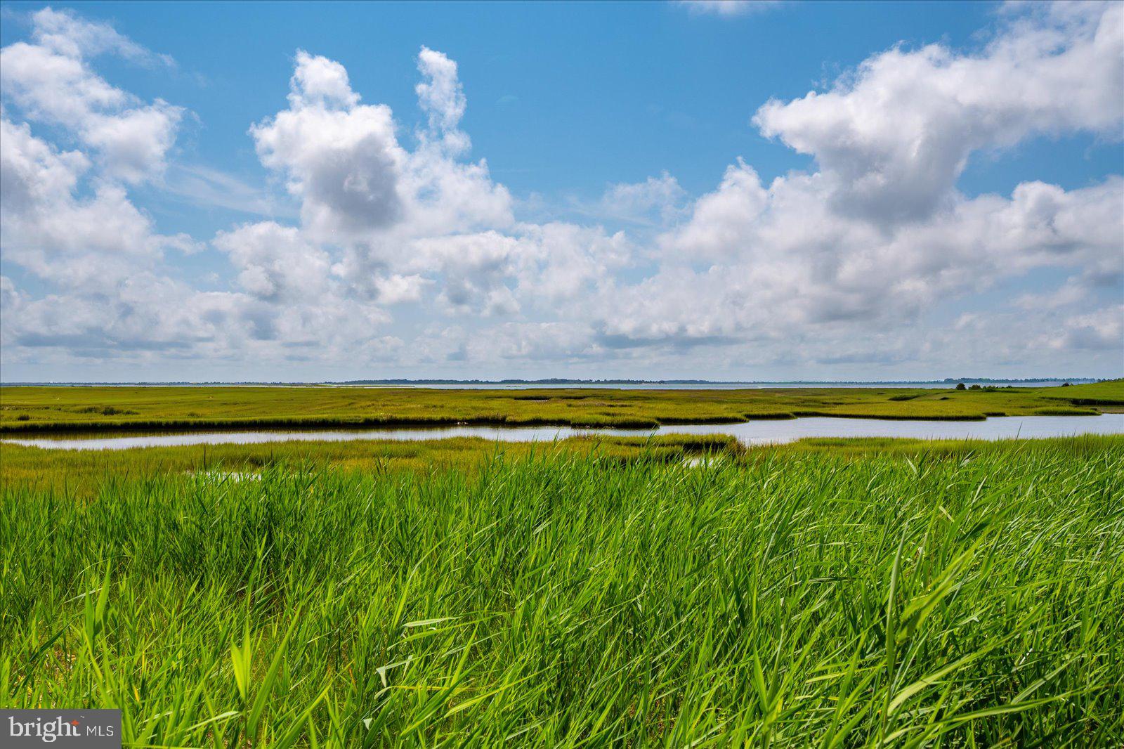 SYNEPUXENT LANDING - Residential