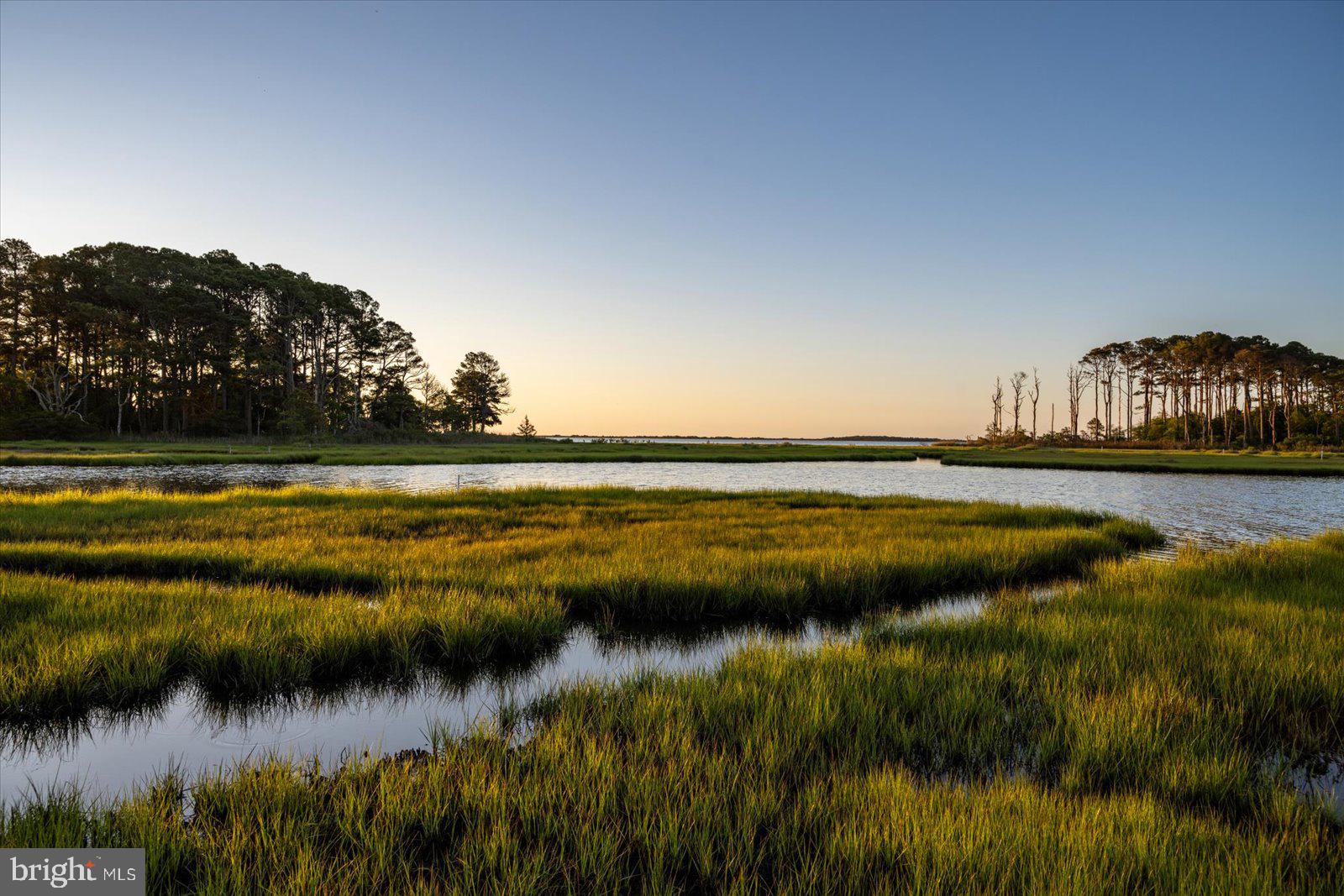 SYNEPUXENT LANDING - Residential