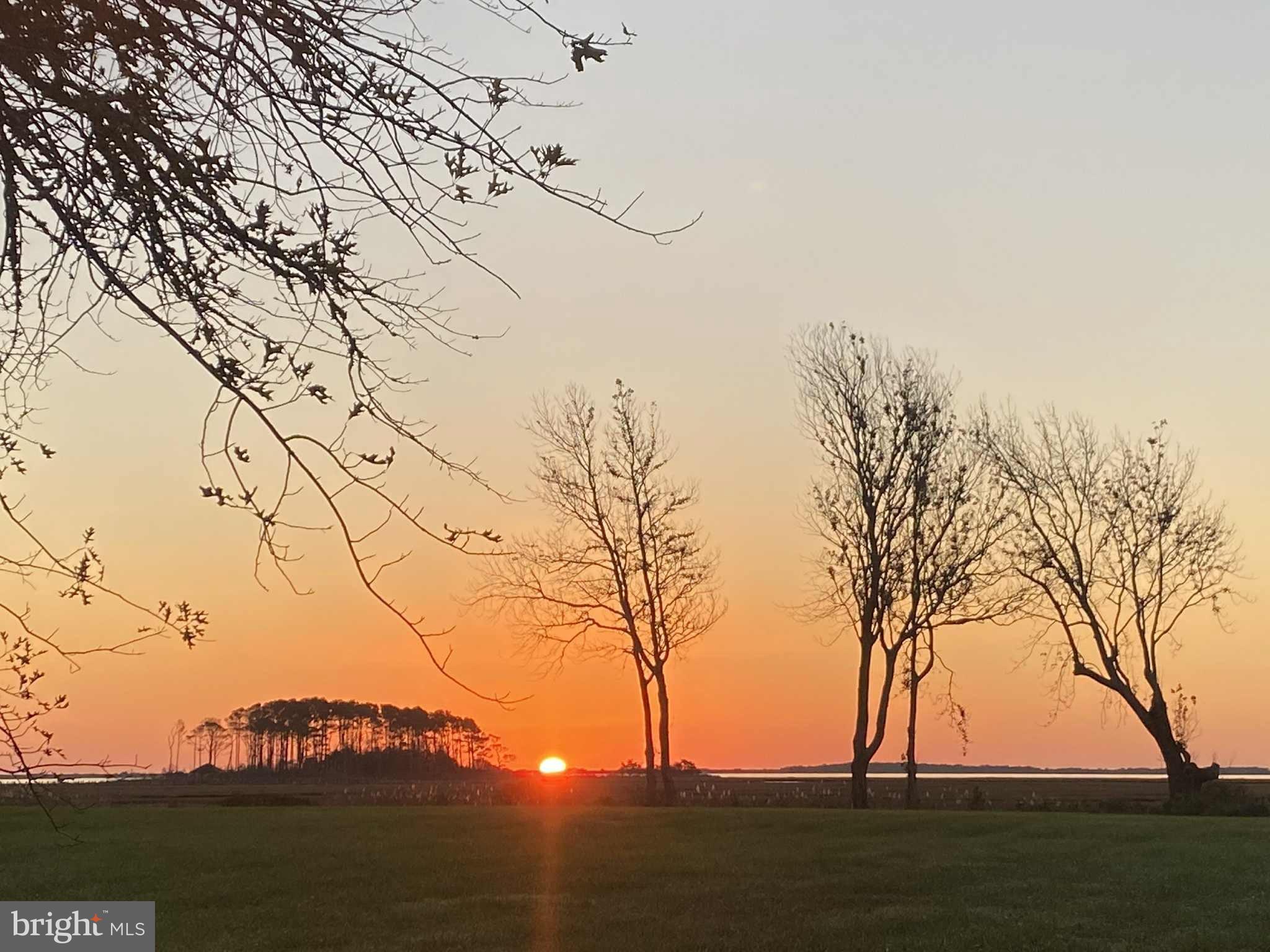 SYNEPUXENT LANDING - Residential