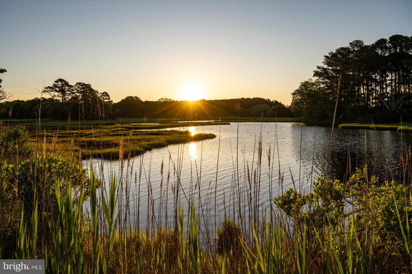 SYNEPUXENT LANDING - Residential