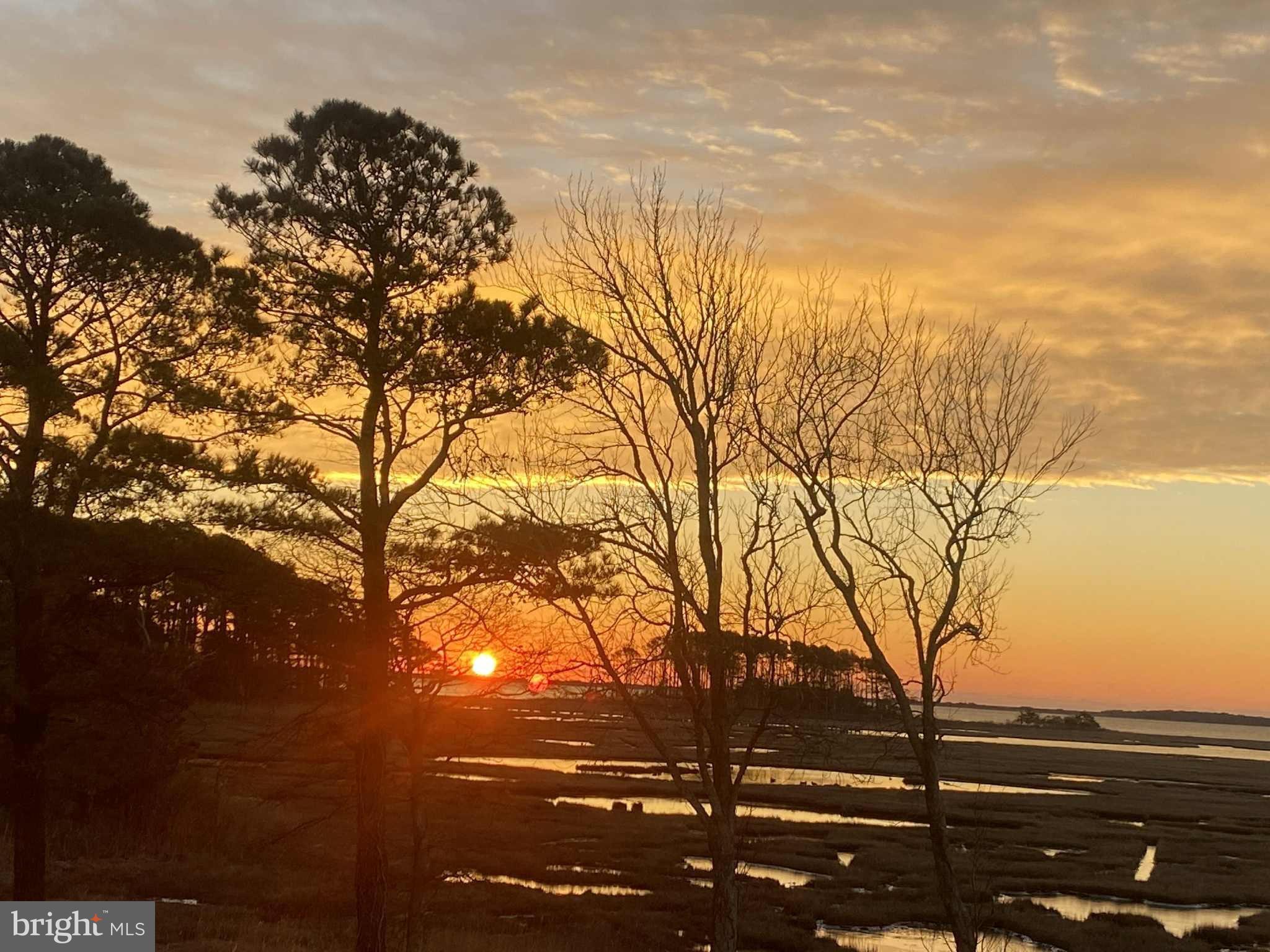 SYNEPUXENT LANDING - Residential