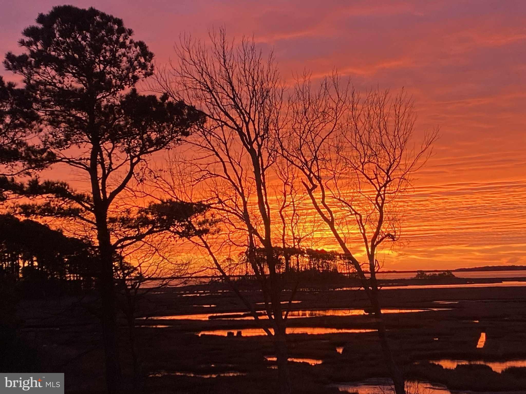 SYNEPUXENT LANDING - Residential