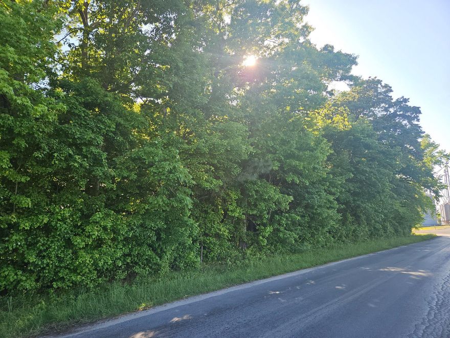 Lovely large wooded lot located on the outskirts of town, but close to town amenities.  Easy commute to the bay bridge or points in between.  Some forest conservation area.  Perc approved for a conventional tile septic  system for up to a 4 bedroom home.  Hurry to check this one out!