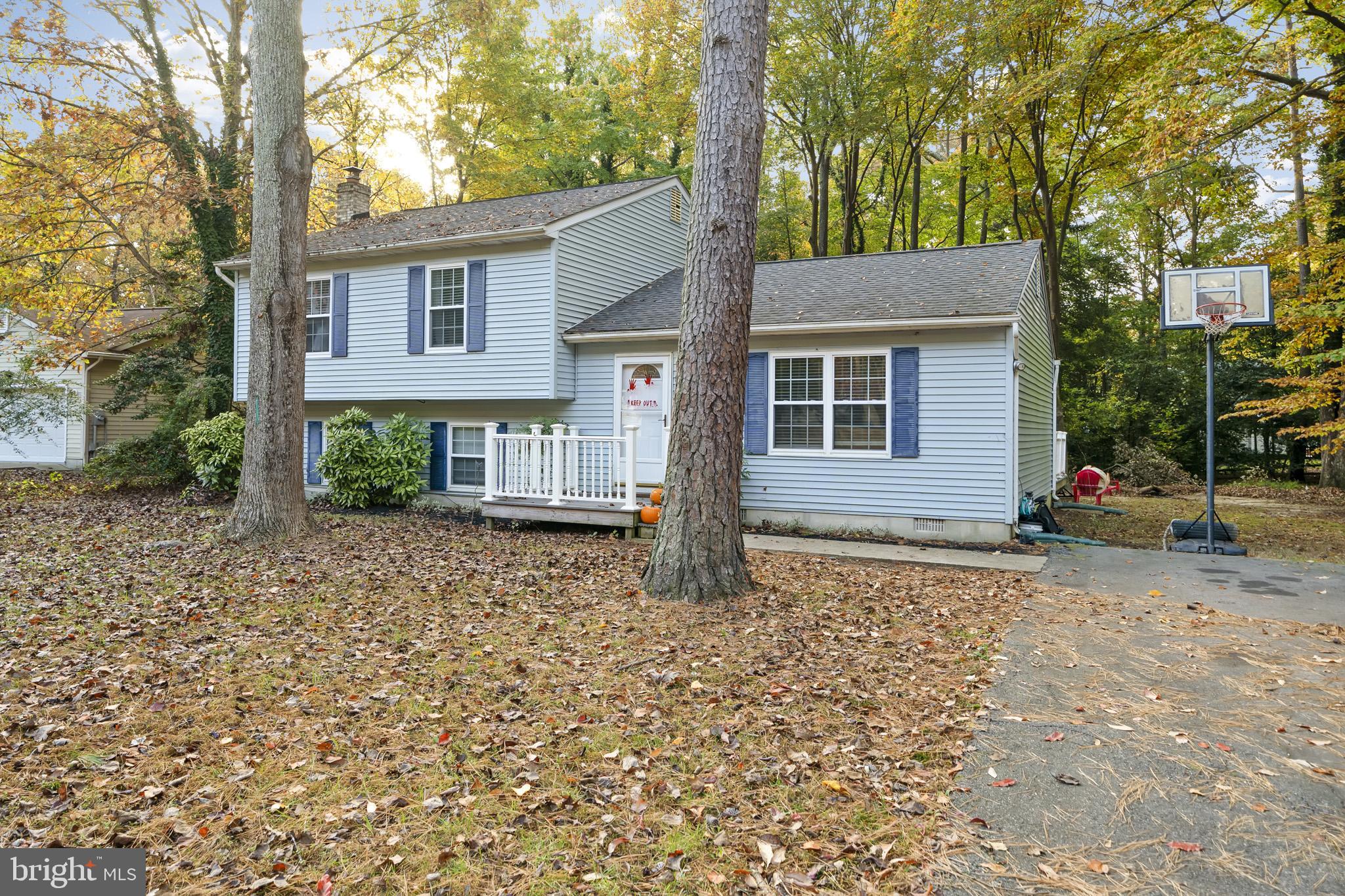 DRUM POINT - Residential