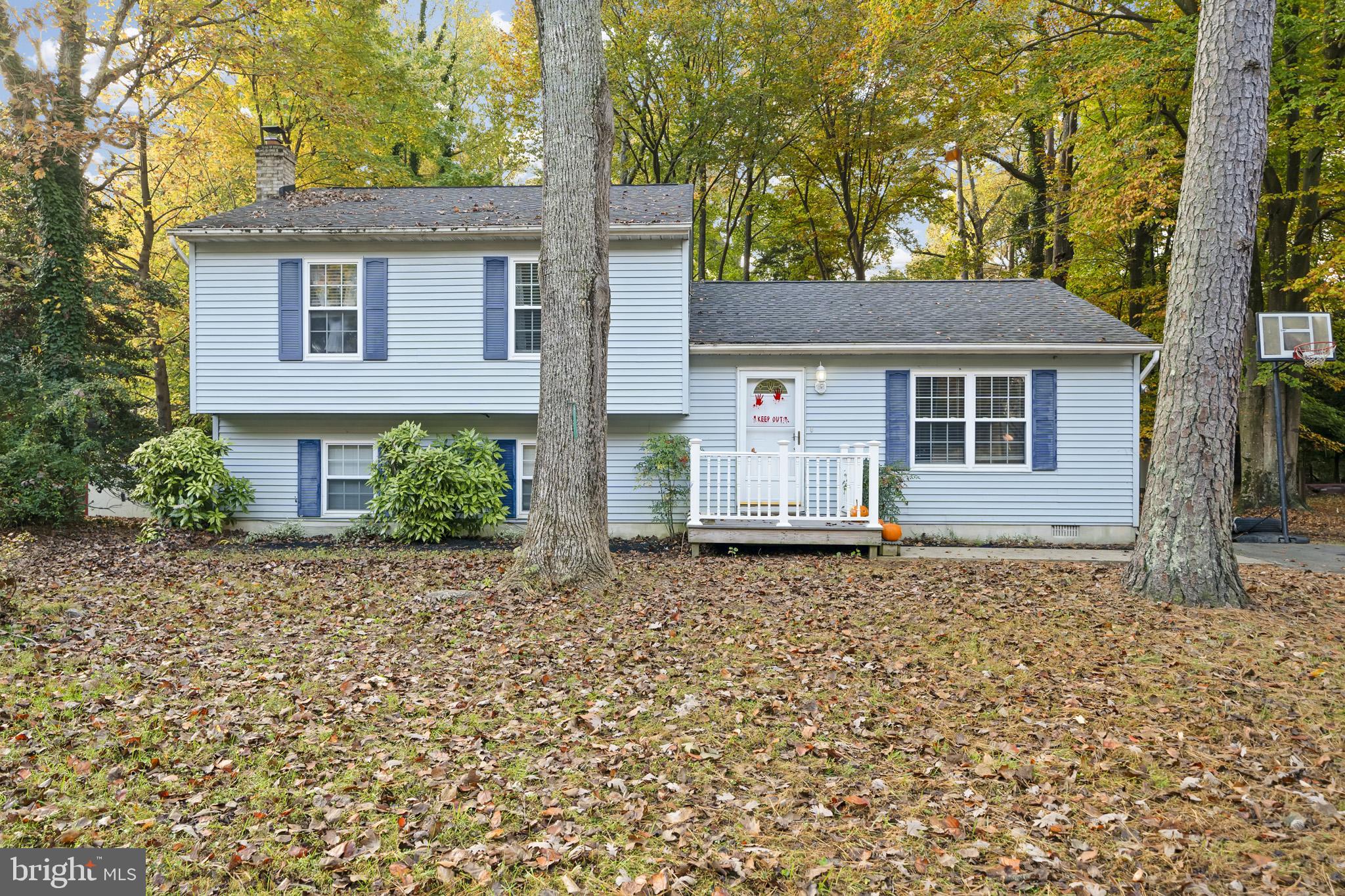 DRUM POINT - Residential