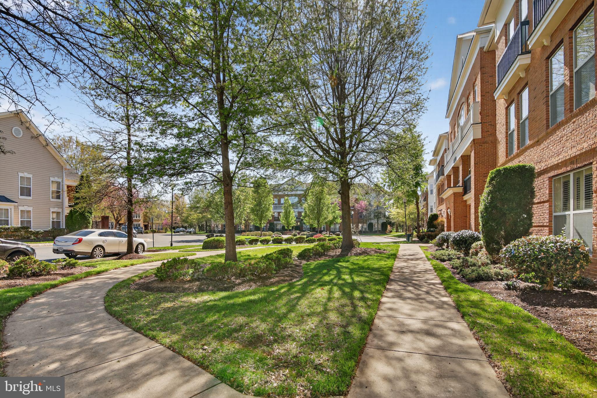 LIBERTY GROVE - Residential