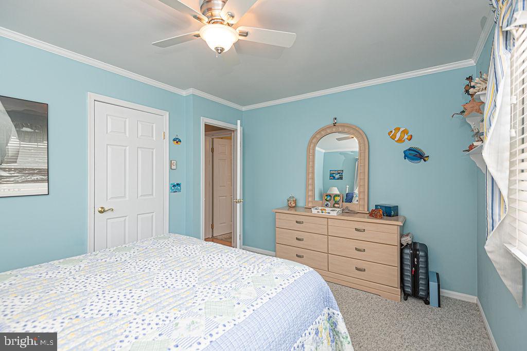 CAPE ISLE OF WIGHT - Residential