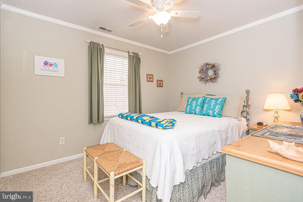 CAPE ISLE OF WIGHT - Residential