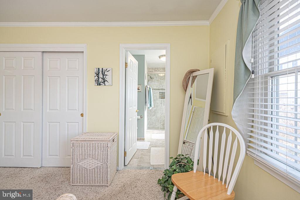 CAPE ISLE OF WIGHT - Residential