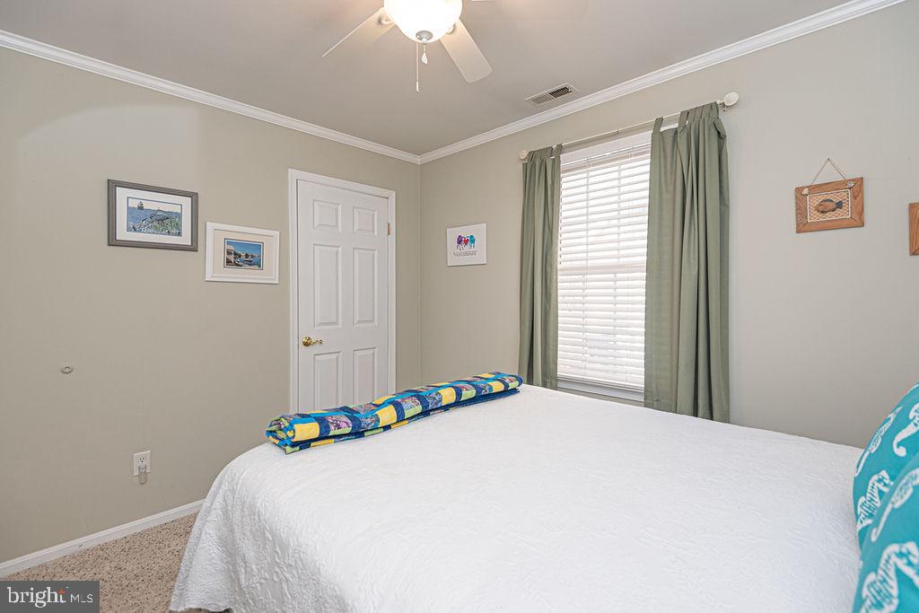 CAPE ISLE OF WIGHT - Residential