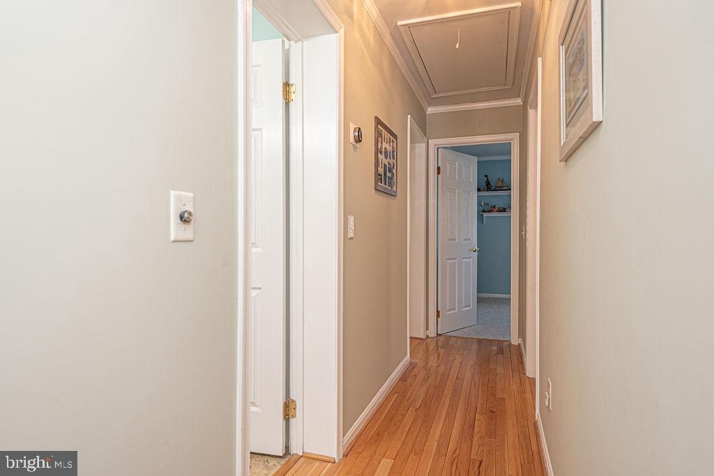 CAPE ISLE OF WIGHT - Residential