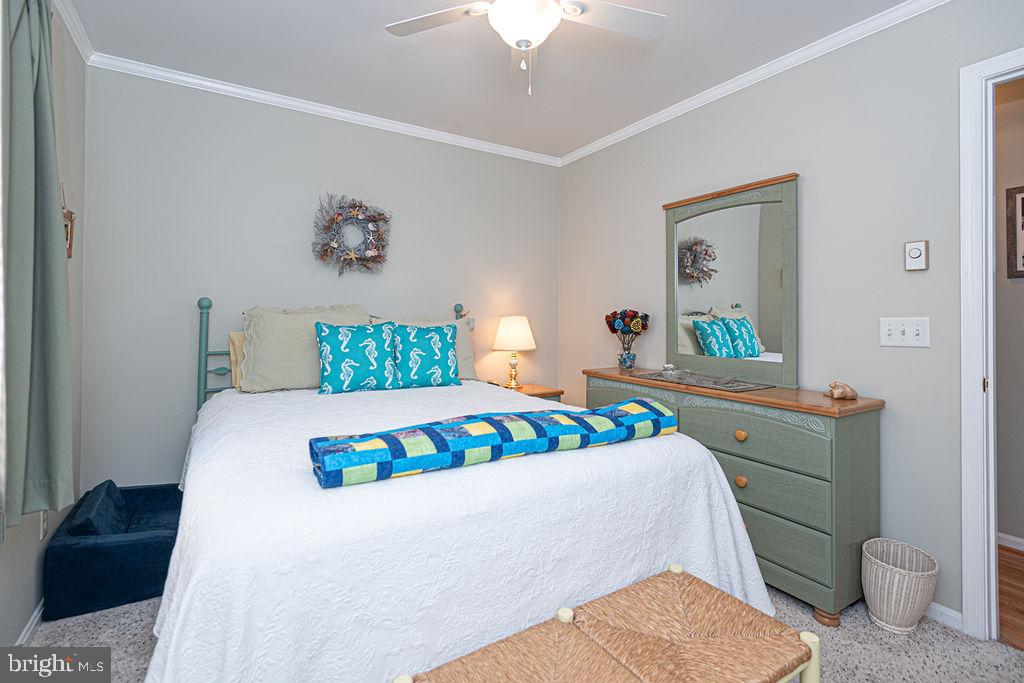 CAPE ISLE OF WIGHT - Residential