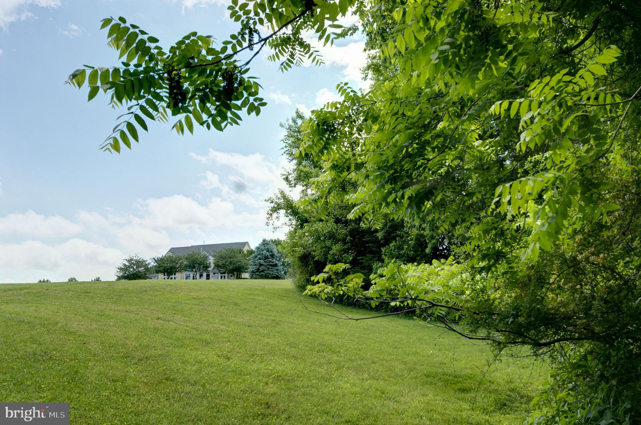 BIG SPRING FARM - Residential