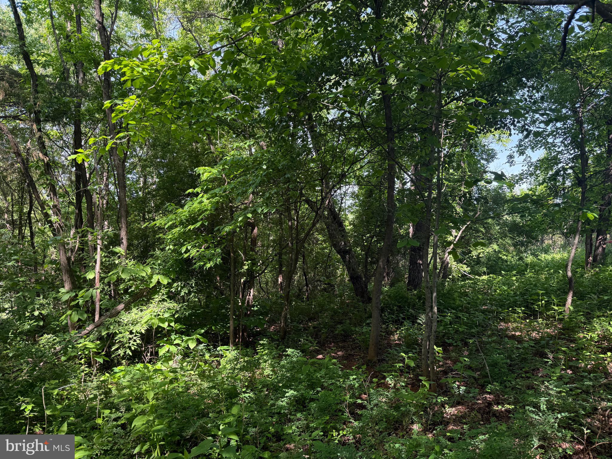 0 EAGLES NEST DR