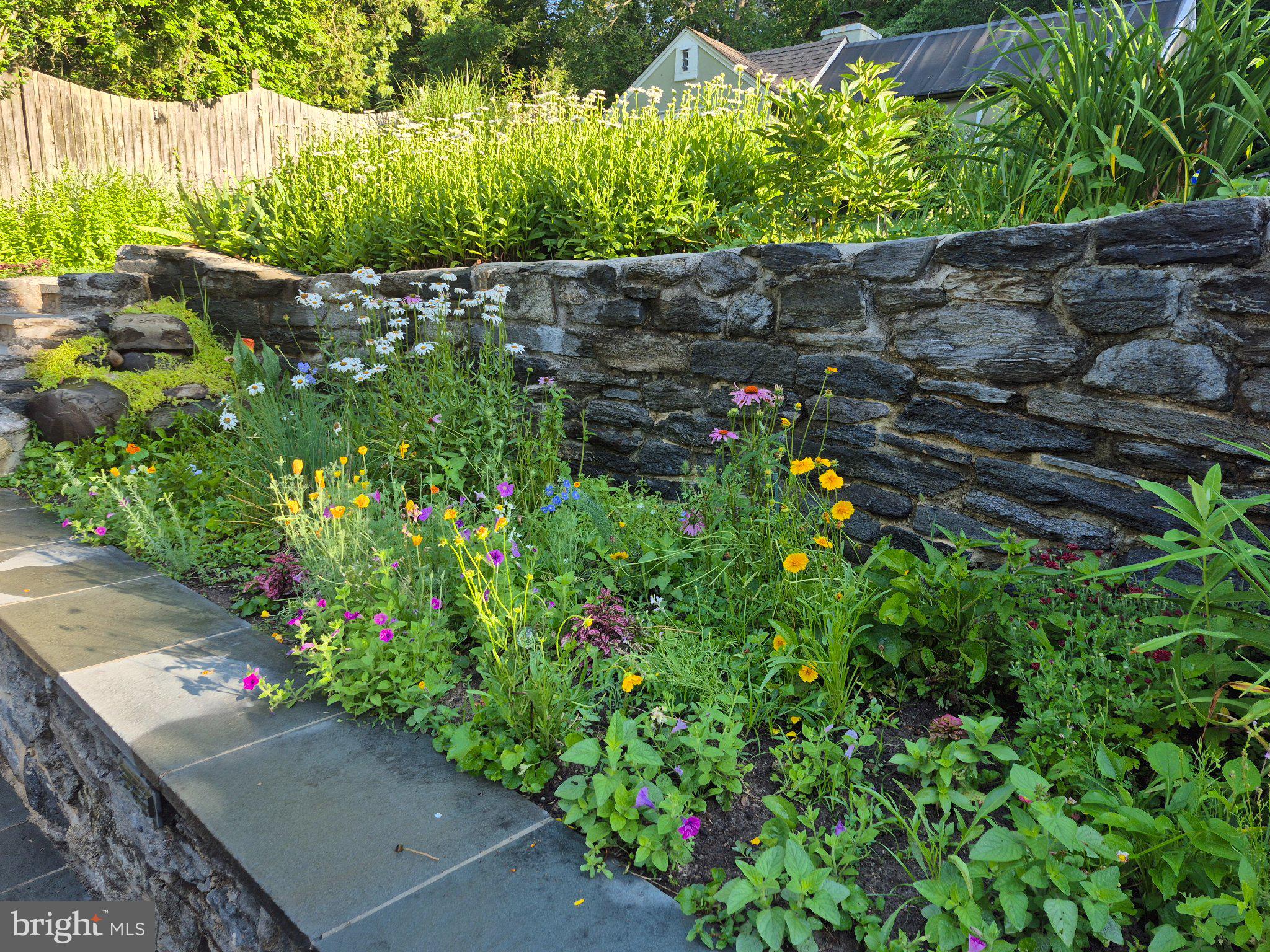 ELKINS PARK - Residential