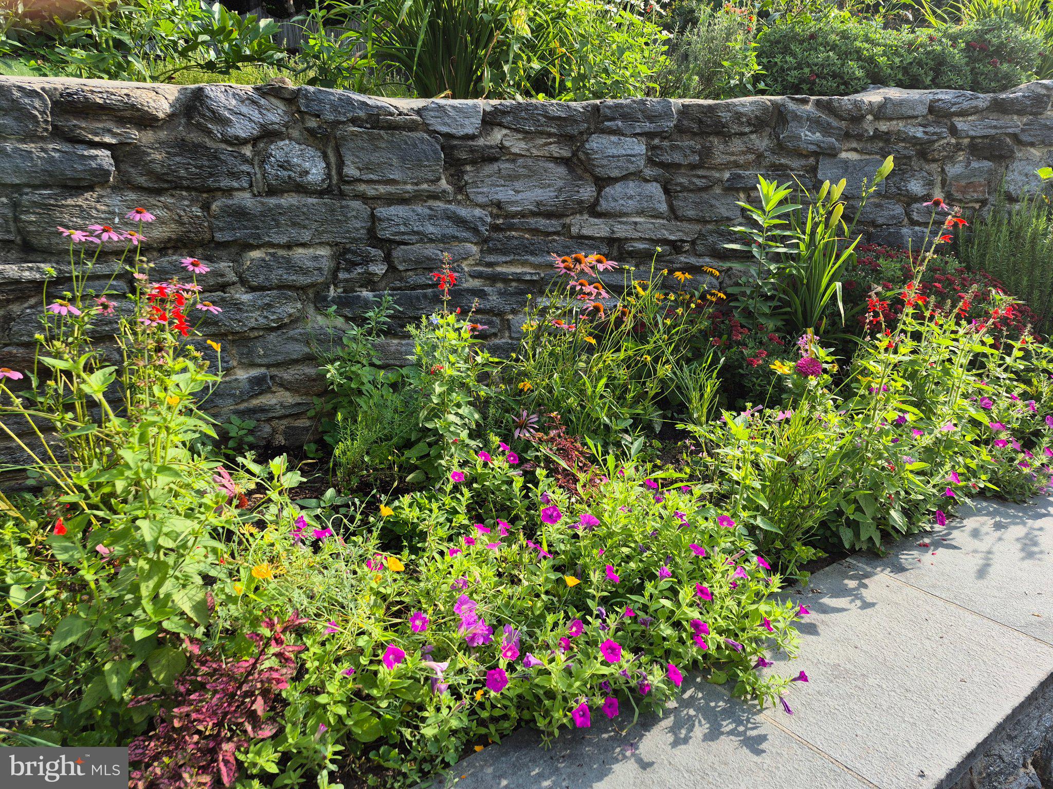 ELKINS PARK - Residential