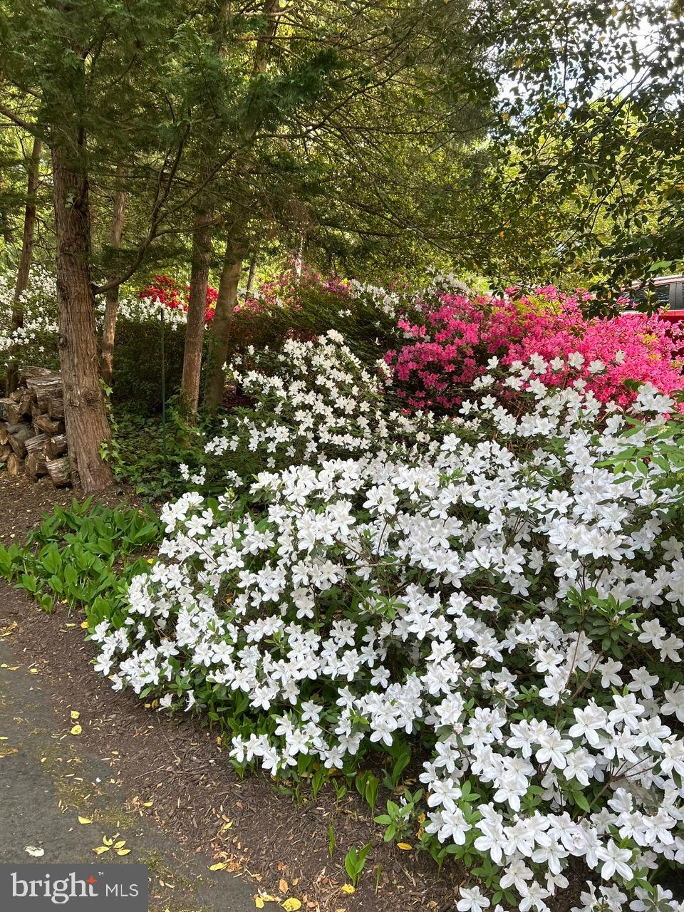 PINE RIDGE - Residential