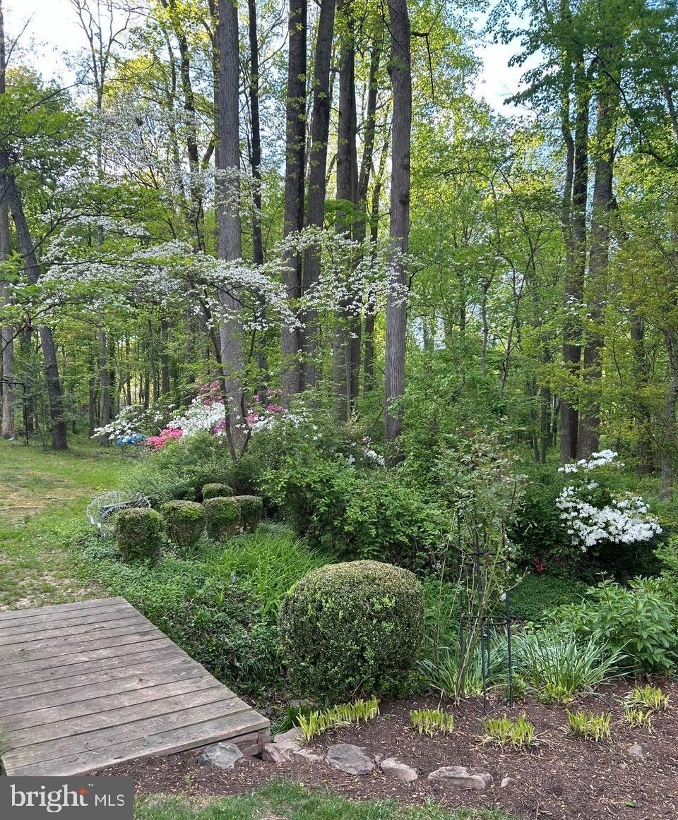 PINE RIDGE - Residential