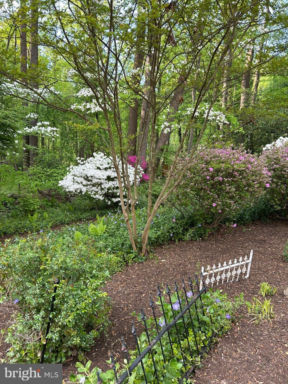 PINE RIDGE - Residential