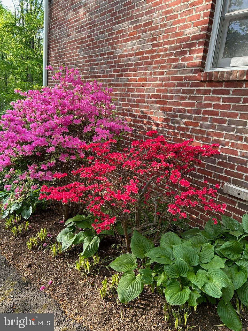 PINE RIDGE - Residential