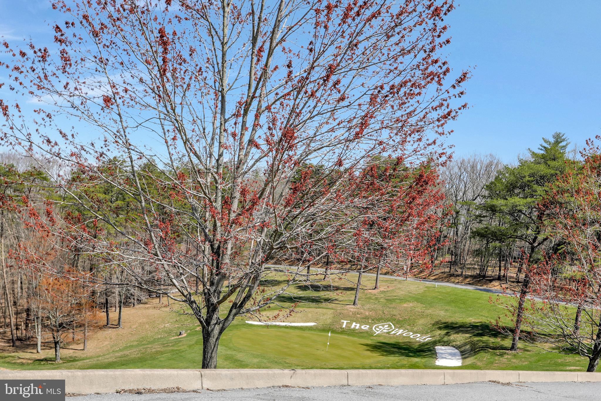 THE WOODS - Residential