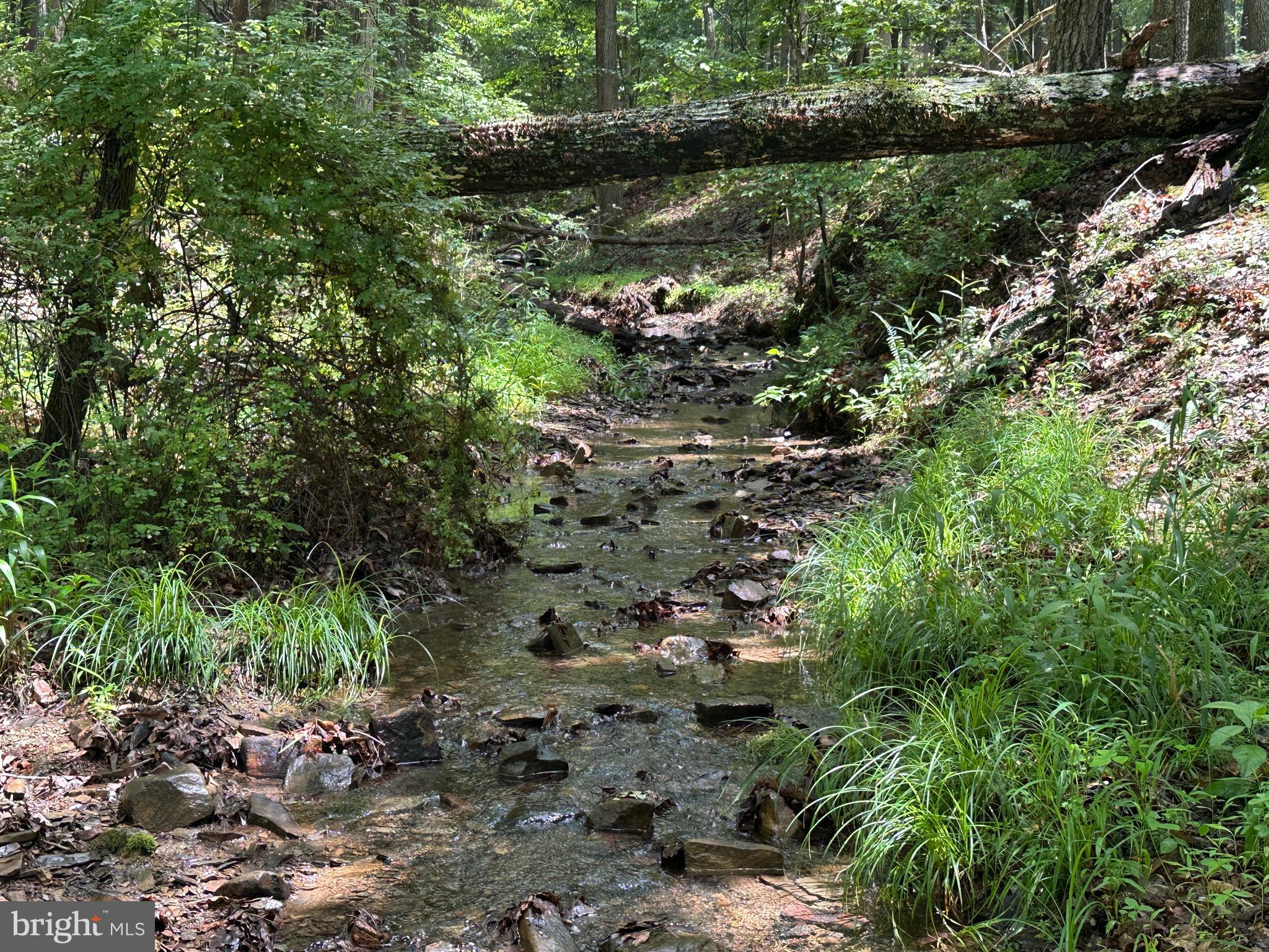 SOUTH POTOMAC TROUGH FARM II - Land