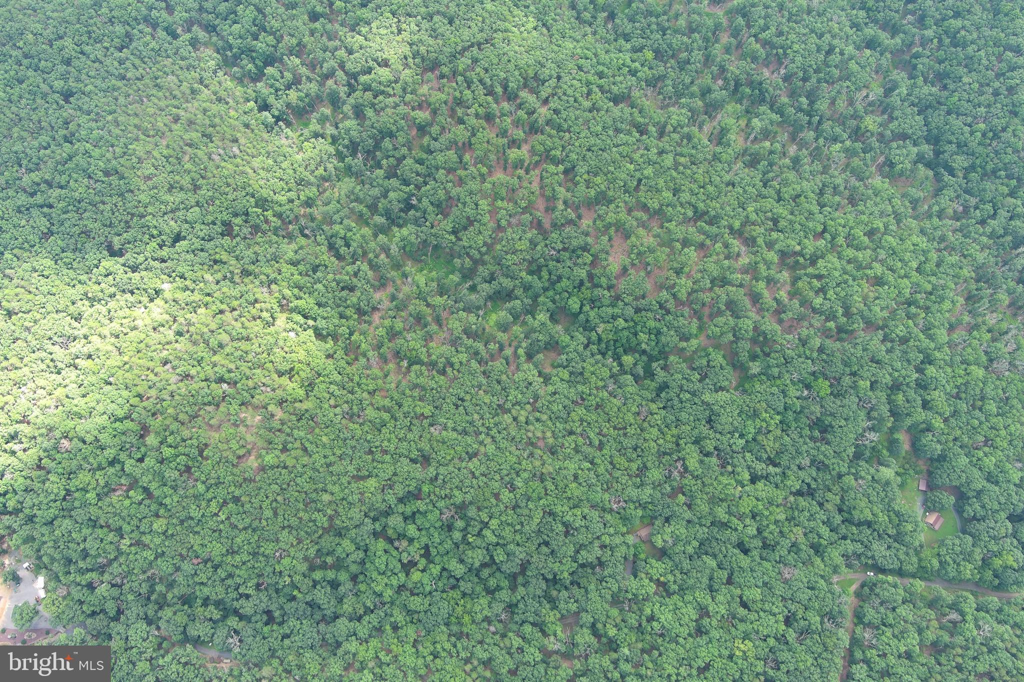 SOUTH POTOMAC TROUGH FARM II - Land