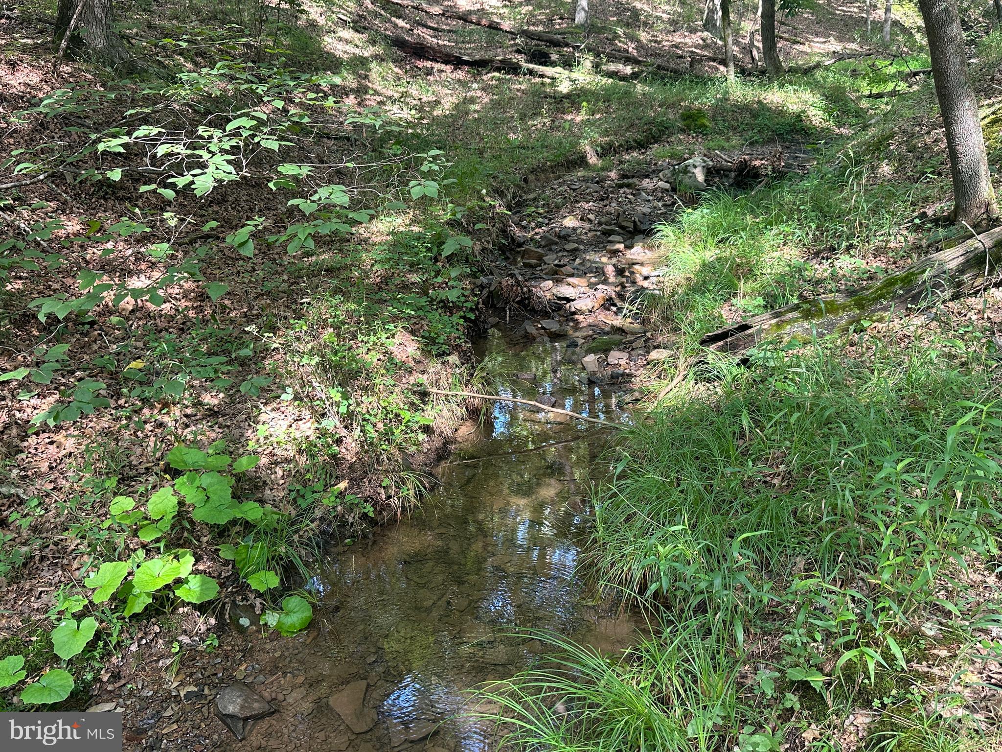 SOUTH POTOMAC TROUGH FARM II - Land