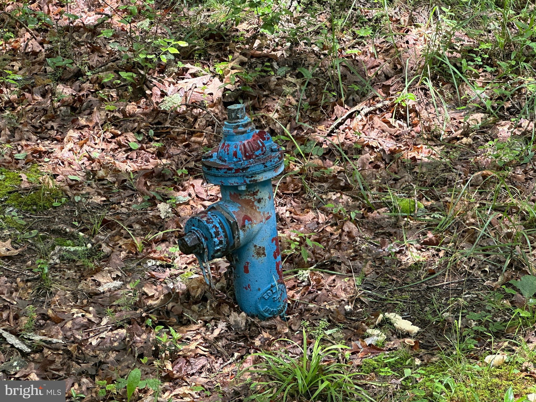 SOUTH POTOMAC TROUGH FARM II - Land