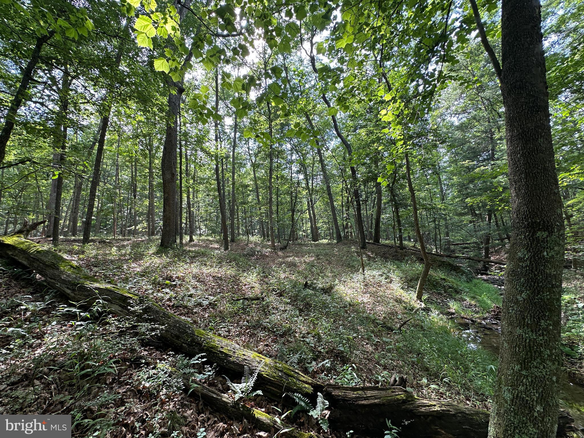 SOUTH POTOMAC TROUGH FARM II - Land