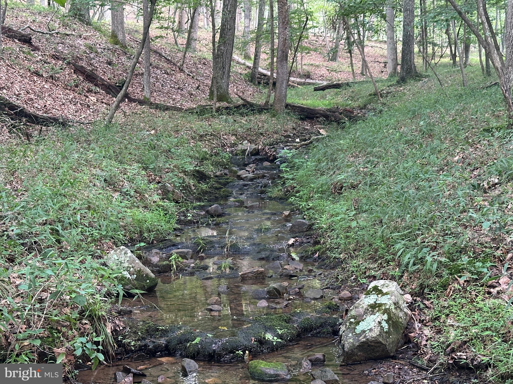 SOUTH POTOMAC TROUGH FARM II - Land