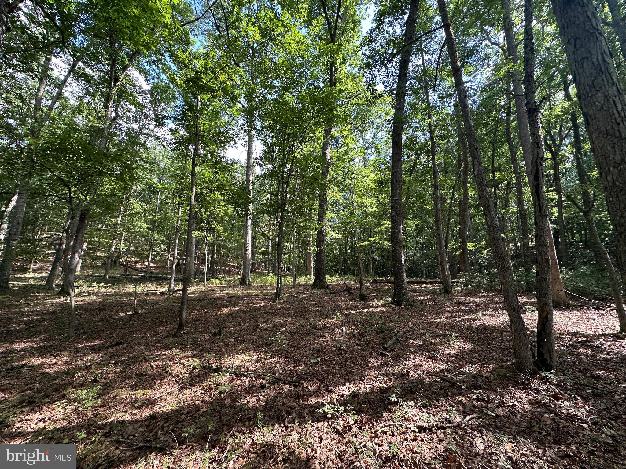 SOUTH POTOMAC TROUGH FARM II - Land