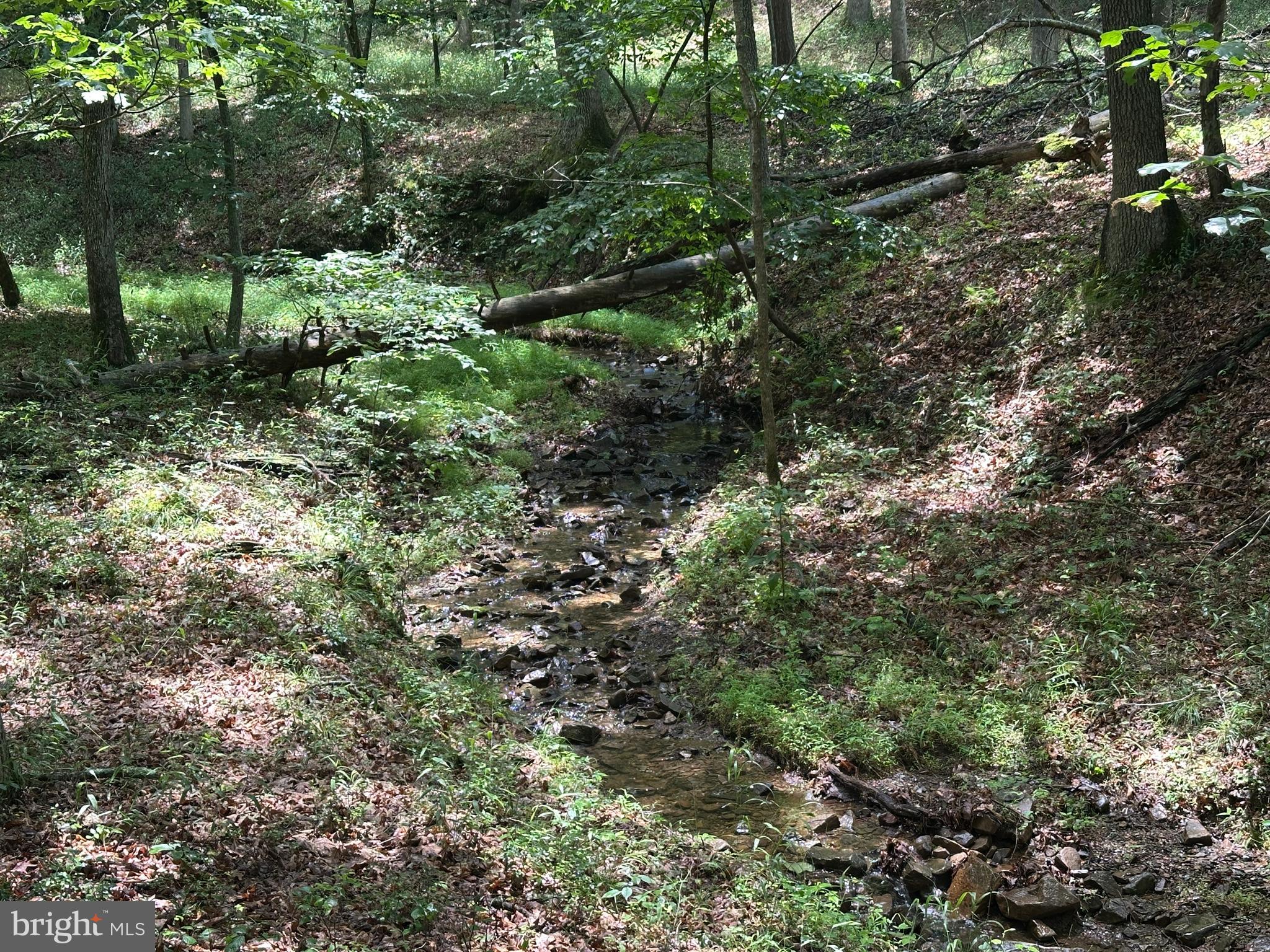 SOUTH POTOMAC TROUGH FARM II - Land