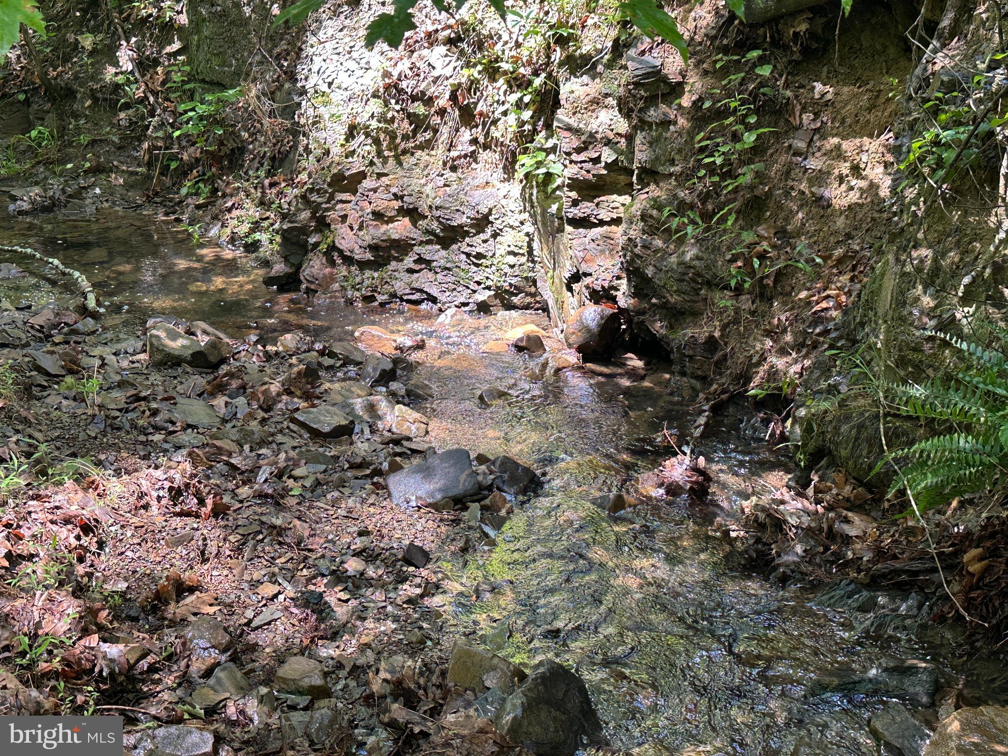 SOUTH POTOMAC TROUGH FARM II - Land
