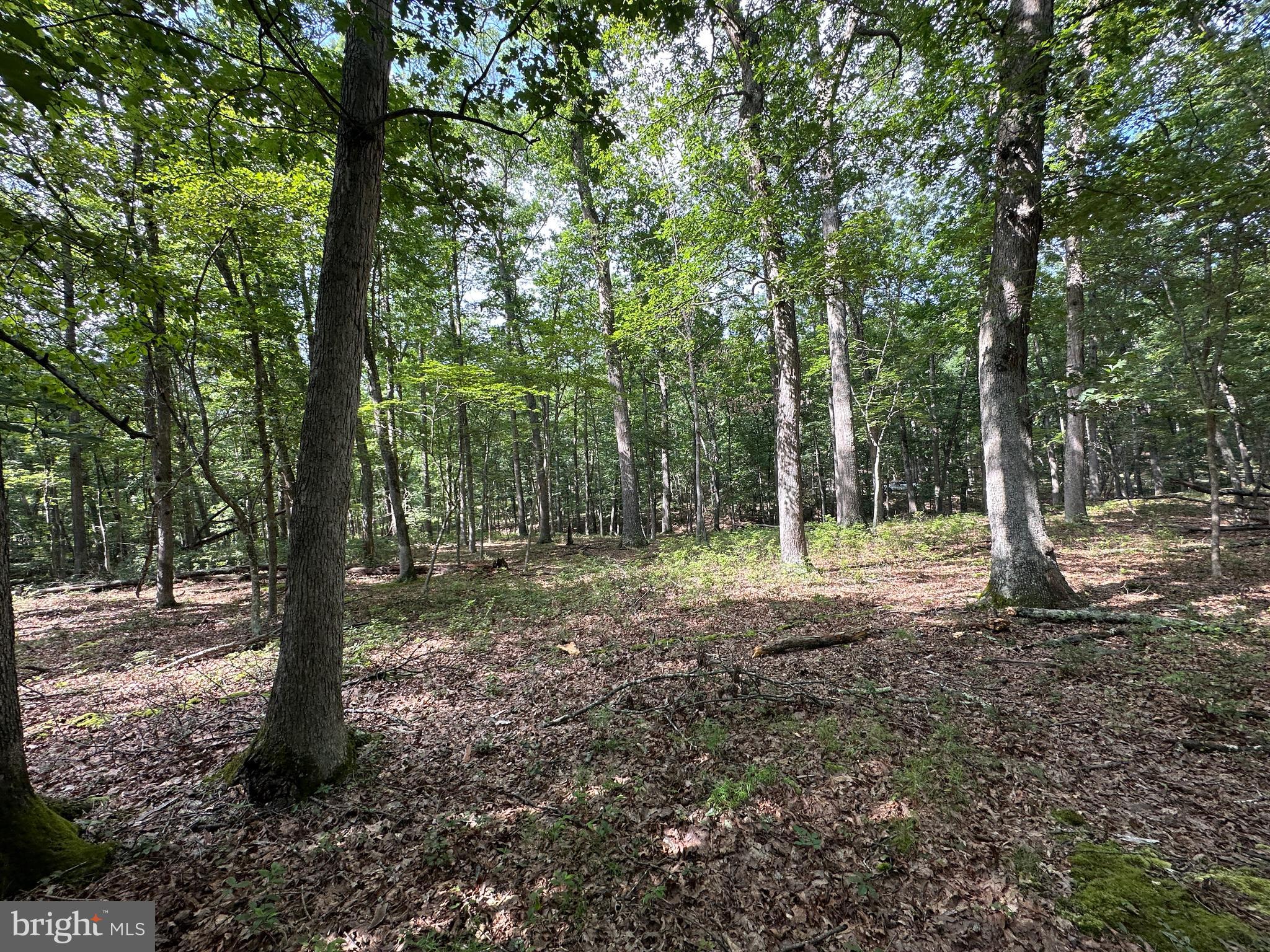 SOUTH POTOMAC TROUGH FARM II - Land