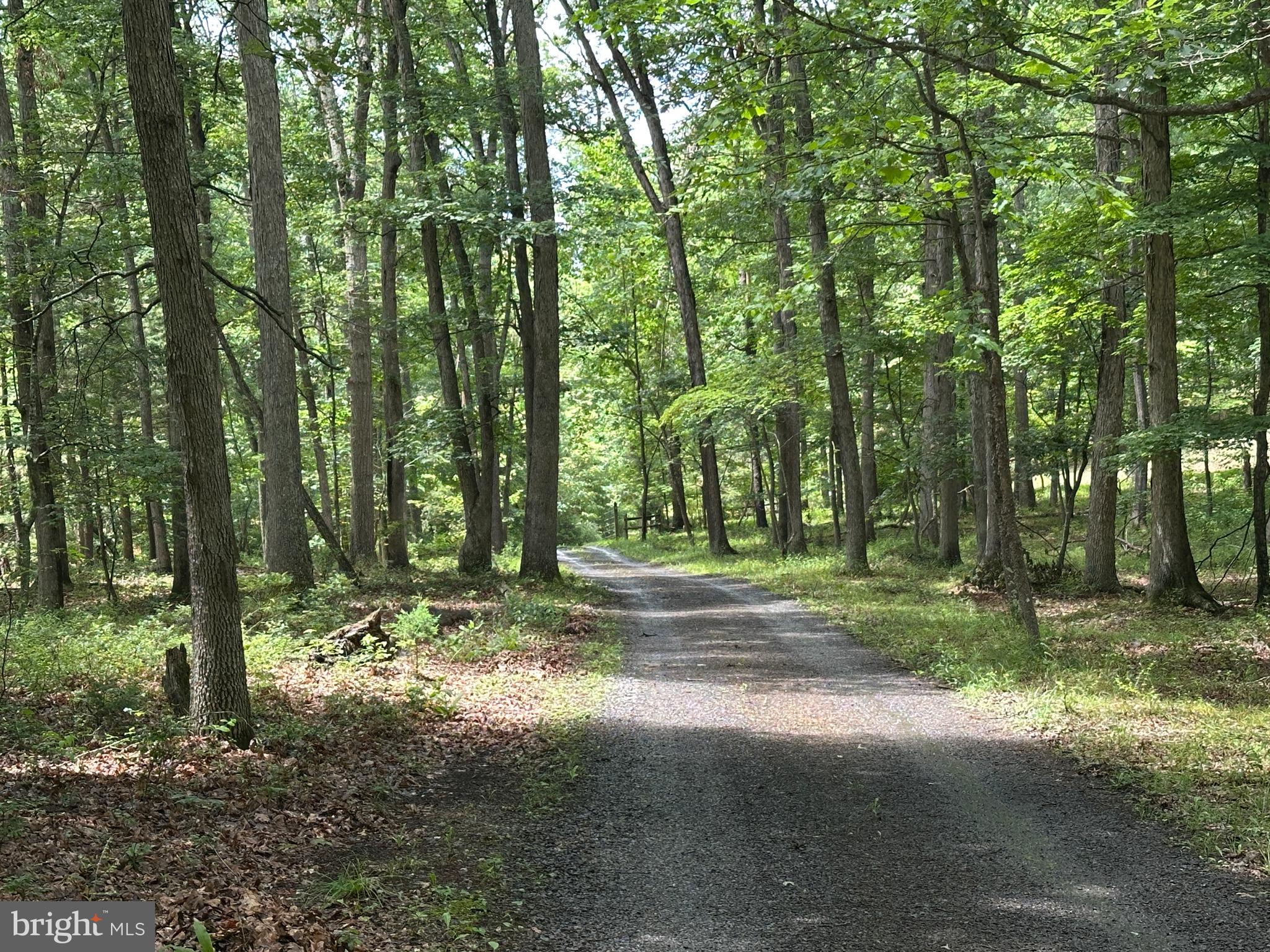 SOUTH POTOMAC TROUGH FARM II - Land